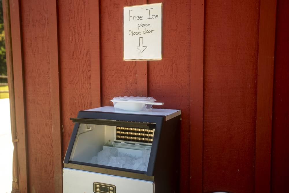 Free Ice