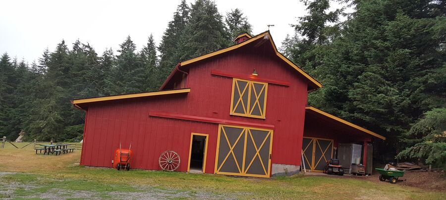 The Big Red Barn surrounded by evergreens